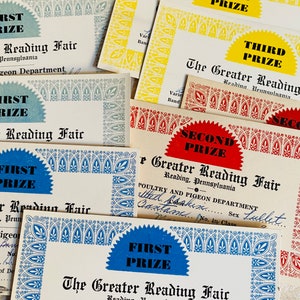 Dziesięć kolorowych kartek z nagrodami z lat 30. XX wieku, Greater Reading Fair, ocena drobiu i gołębi w Pensylwanii, pamiątki związane z ptakami i drobiem