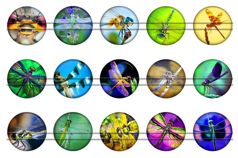 Dragonfly Digital Bottle Caps Images 1'' Circles Etsy