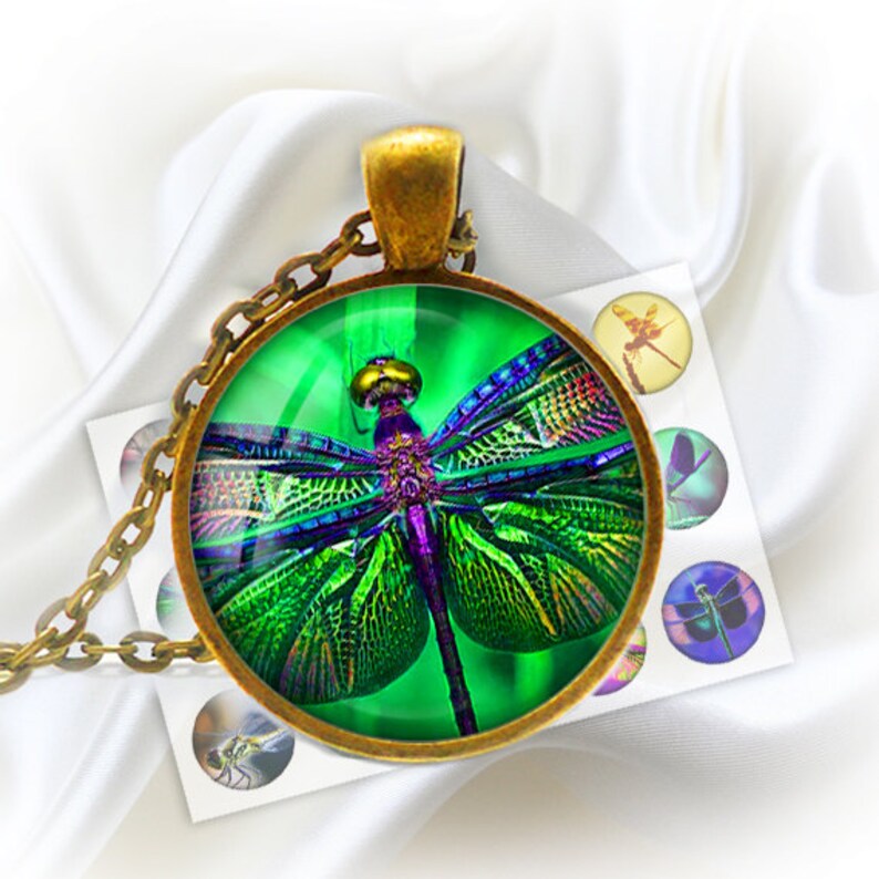 Dragonfly Digital Bottle Caps Images 1'' Circles Etsy