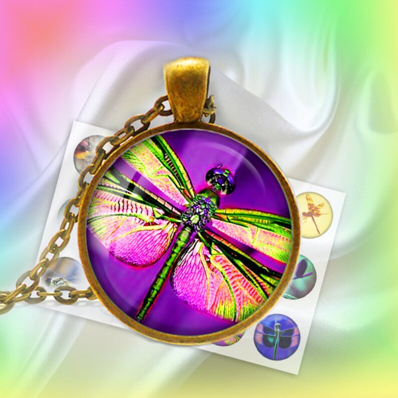 Dragonfly Digital Bottle Caps Images 1'' Circles Etsy