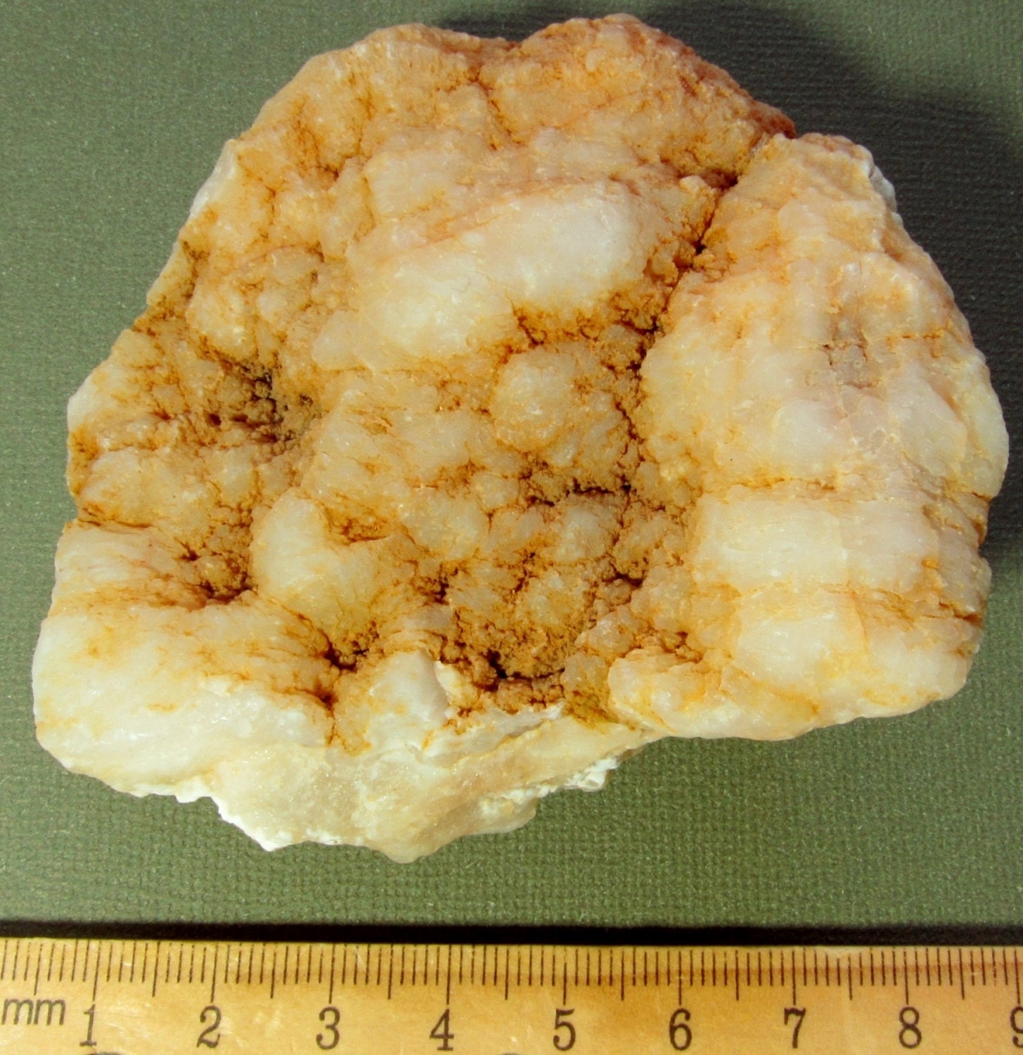 My Image 11