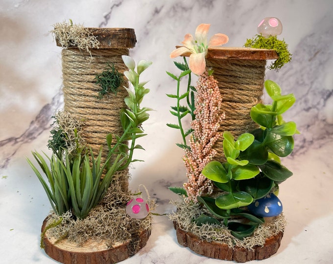 Jumping Spider Hide With Magnets & Jumping Spider Feeding