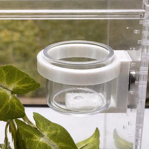 Jumping Spider food dish,  accessories for jumping spider enclosure or habitat , jumping spider decor