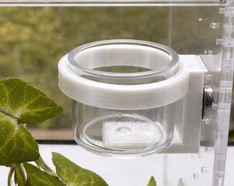 Jumping Spider food dish,  accessories for jumping spider enclosure or habitat , jumping spider decor