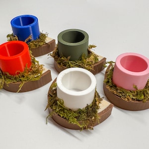 Jumping Spider food dish, jumping spider enclosure , accessories for jumping spider enclosure, jumping spider habitat, jumping spider decor