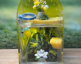 Decorated Acrylic Jumping Spider Enclosure, Front Opening Habitat (8x4x4)