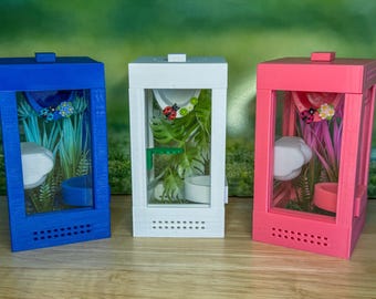 Decorated Sling Jumping Spider Enclosure with food dish and shelf