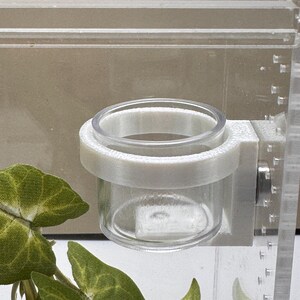 Jumping Spider food dish,  accessories for jumping spider enclosure or habitat , jumping spider decor