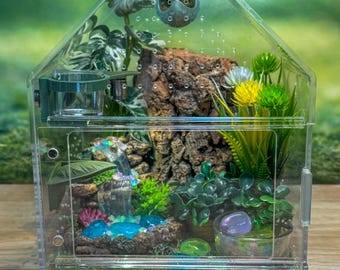 Large Decorated Acrylic Jumping Spider Enclosure, Front Opening Habitat (8x6x6)