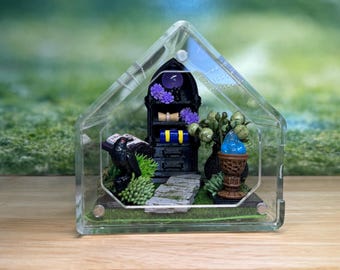 Decorated Acrylic Jumping Spider Enclosure, Front Opening Habitat 3.75x3.75x3.75