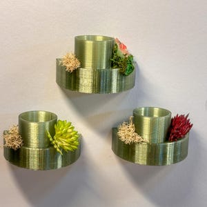 Jumping Spider food dish/shelf, accessories for jumping spider enclosure, jumping spider habitat, jumping spider decor