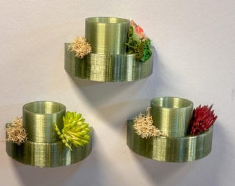 3D Printed Magnetic Feeding Shelf, Jumping Spider Enclosure Decor