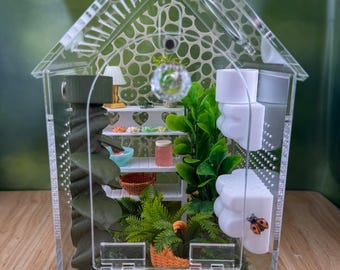 Decorated Acrylic Jumping Spider Enclosure, Front Opening Habitat (8x5x5)