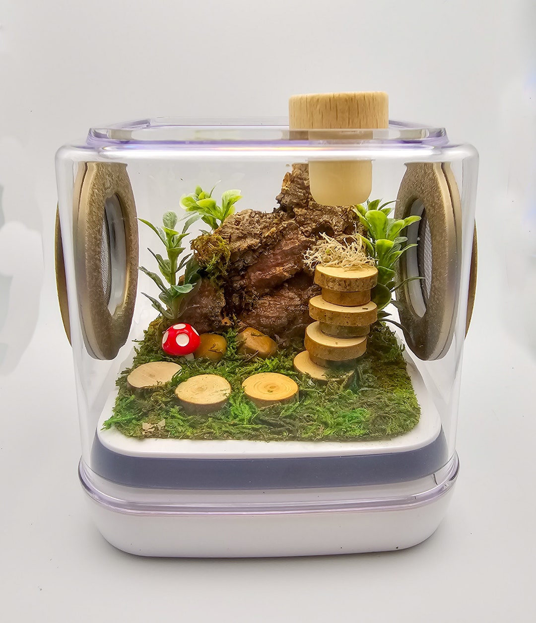 Jumping Spider Enclosure, 5x5x5 Spider House, Spider Tank, Spider ...