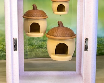 Jumping spider enclosure Acorn Hide
