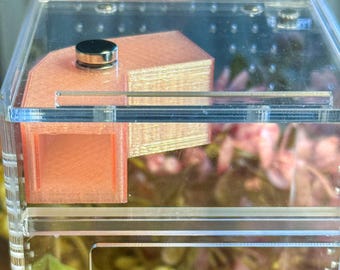 Hide for Jumping Spider, Adult or juvenile, magnet accessories for enclosure or habitat