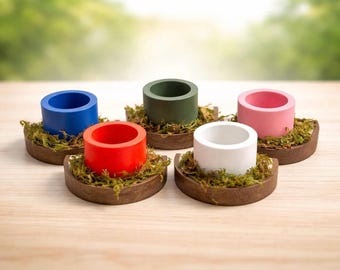 3D Printed Jumping Spider Food Dish, Magnetic Enclosure Decor