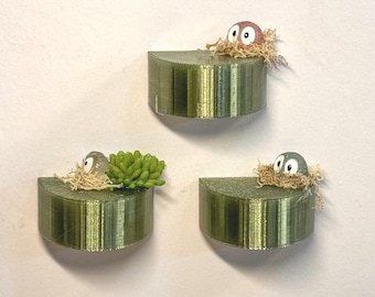 Jumping Spider Magnetic Shelf, Enclosure Decor