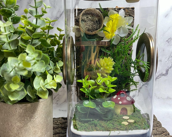 Jumping Spider Enclosure 5x5x9 Spider House, Spider Tank, Spider