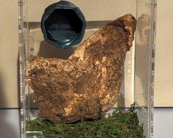 3D Printed Wavy Jumping Spider Magnet Hide