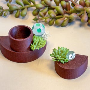 Jumping Spider food dish and shelf , accessories for jumping spider enclosure, jumping spider habitat, jumping spider decor with magnets
