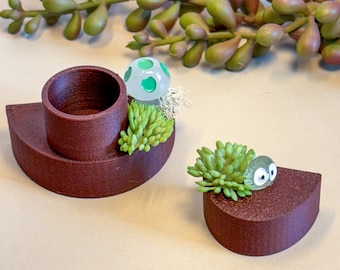 Magnetic Jumping Spider Food Dish and Shelf, Enclosure Accessories