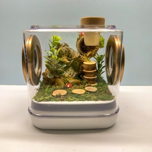 Jumping Spider Enclosure, 5x5x5  spider house, spider habitat, arachnid habitat, spider enclosure, jumping spider habitat