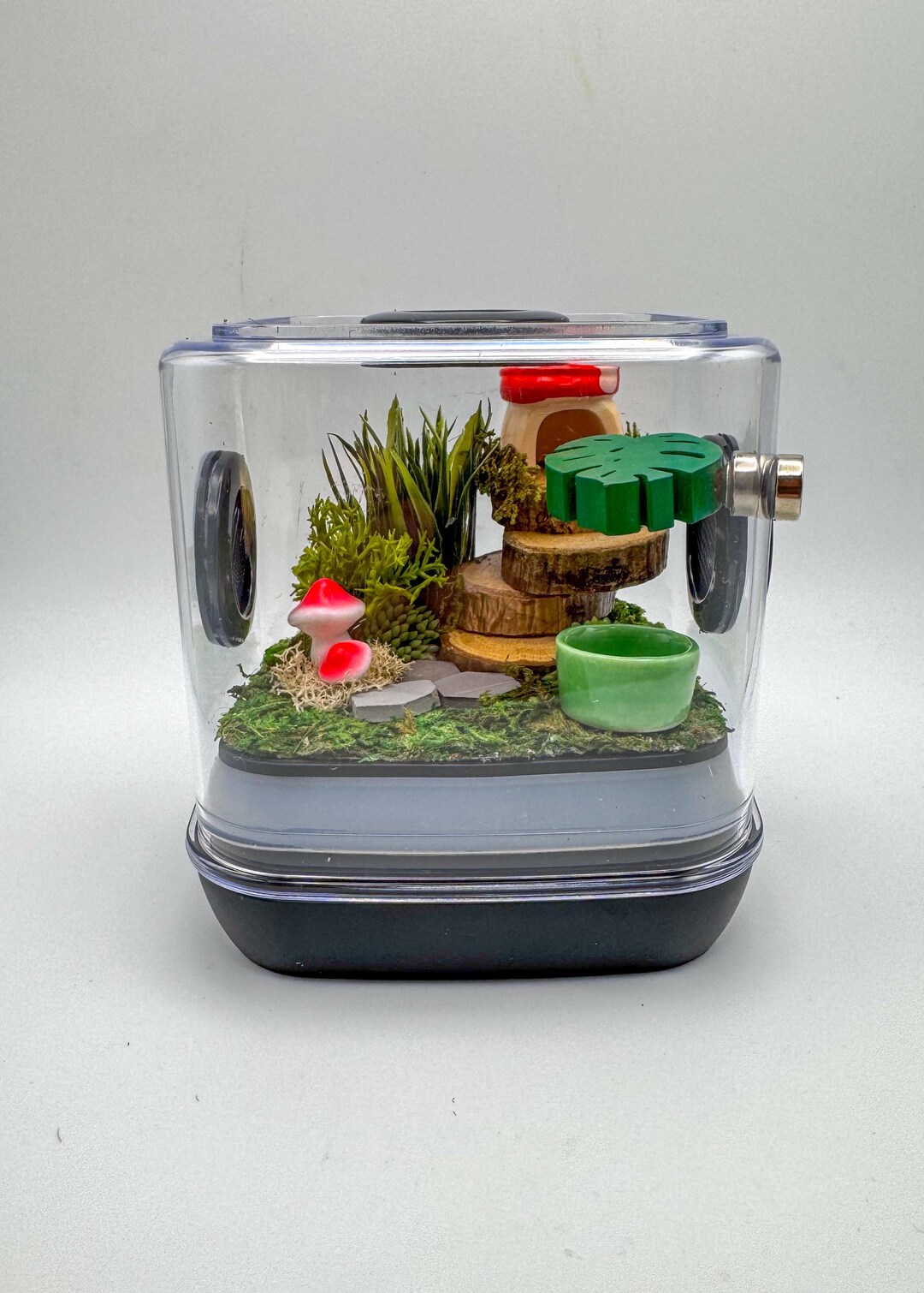 Jumping Spider Enclosure, Sling Enclosure, 4x4x3.5, Spider Habitat ...