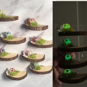 Jumping Spider enclosure, jumping spider enclosure accessories , jumping spider decoration, wood shelf with magnets, jumping spider decor