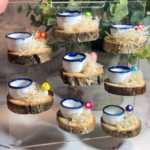 Jumping Spider food dish, jumping spider enclosure , accessories for jumping spider enclosure, jumping spider habitat, jumping spider decor