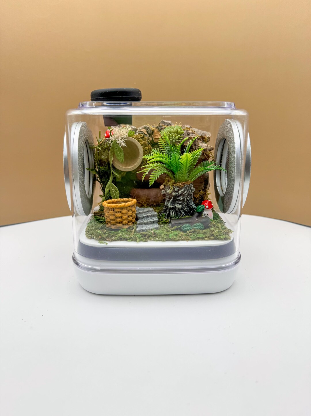 Jumping Spider Enclosure 5x5x5, READY TO SHIP, Spider Tank, Habitat ...