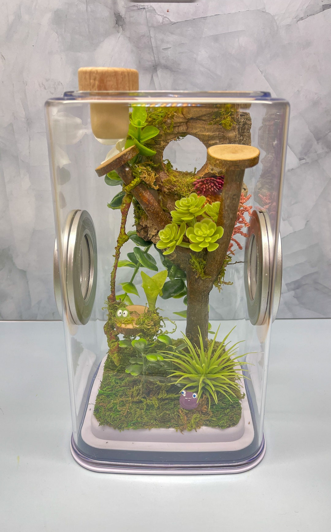 Jumping Spider Enclosure 5x5x9, READY TO SHIP, Spider Tank, Habitat