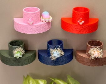 Jumping Spider Magnetic Shelf with Food Dish, Enclosure Accessories