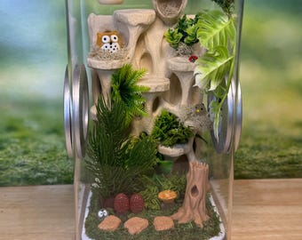 Decorated Jumping Spider Enclosure, 5x5x9, , READY TO SHIP,  extra large spider house