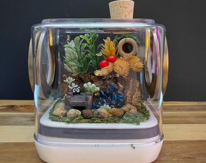 Jumping Spider Enclosure 5x5x5,house, Tank, Spider Habitat, Arachnid