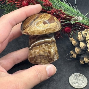 Chocolate Calcite Crystal Mushroom Carving, Medium Mushroom Polished Carvings for Fairy Garden Decoration