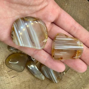 May include: A collection of agate stones with brown and white banding. The stones are smooth and polished, and they have a natural, organic look.
