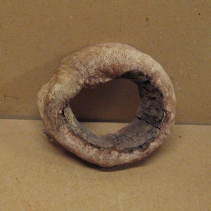 Smaller oak knothole with light no bark outside edge, a darker inner circle.