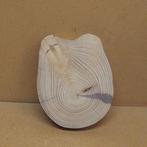 May include: A natural wood slice with a light brown color and visible growth rings. The wood slice is smooth and has a slightly rounded shape.