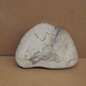 Spalted hackberry lighter colored with some dark areas