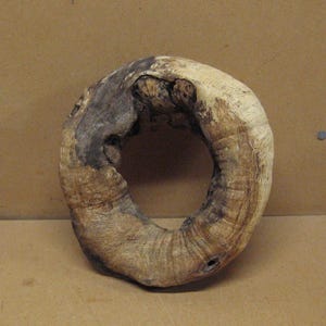 May include: A natural, ring-shaped wooden object with a hole in the center. The wood has a light brown color with darker, weathered areas. The object appears to be a decorative piece or a unique craft item.