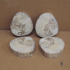 May include: Four round wooden coasters with a natural wood grain pattern. The coasters are light brown with dark brown markings.