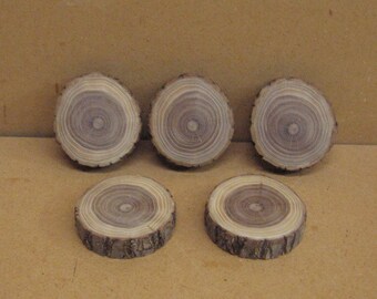 5 small black walnut slices off the same log, pretty bark