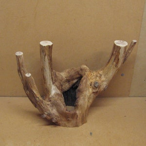 May include: A natural wood branch with three branches extending upwards, creating a unique and rustic design. The branch has a natural brown color and a rough texture.