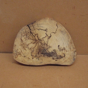 May include: A wooden slice with a natural wood grain pattern and dark brown wood burning details. The wood slice is shaped like a crescent moon.