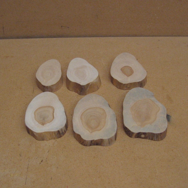 6 smaller cypress knee slices all off the same knee and can be stacked in size
