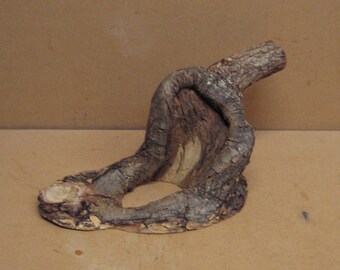 and a hole through the center good bark Funky knothole with 5 points