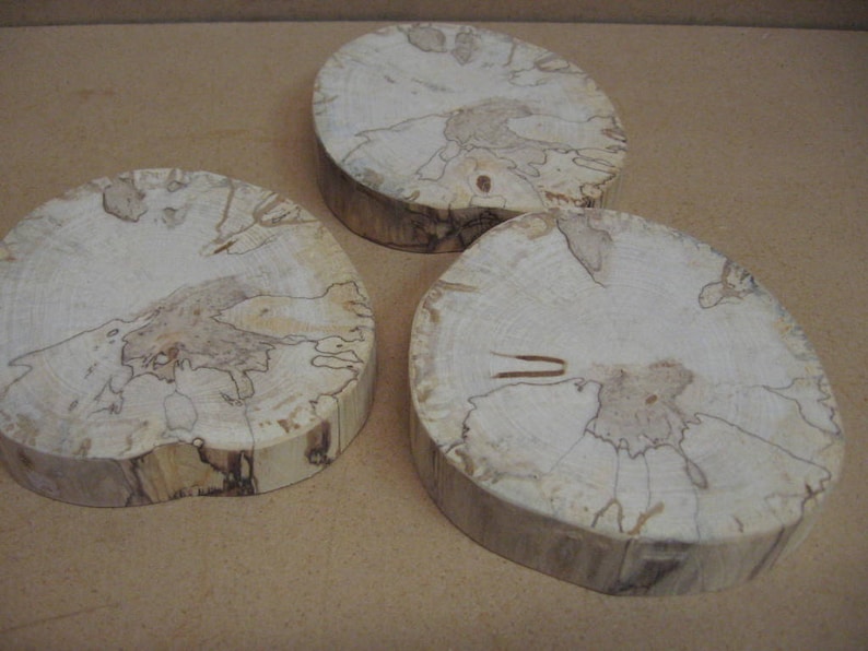no bark 3 lighter colored spalted birch with spots ad trails