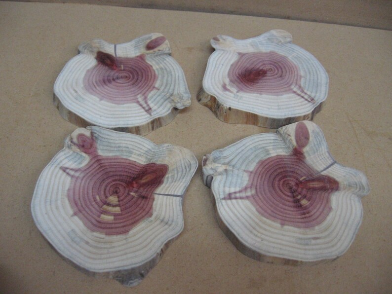 4 funky cedar slices with funny shape and red white and blue color.