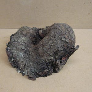 K&ouml;nnte beinhalten: Ein dunkelbraunes, knorriger Holzst&uuml;ck mit einer rauen, strukturierten Oberfl&auml;che. Das Holz ist in Form eines Knotens oder einer Maserung geformt, mit einem Loch in der Mitte.